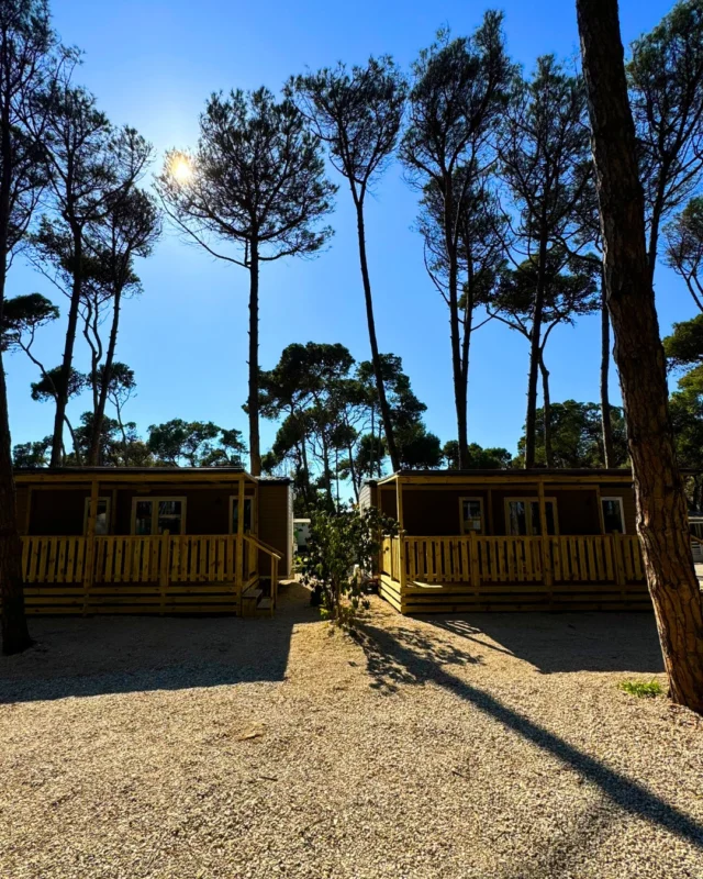 C'è un posto in riva al mare che sa di natura, divertimento, tanti posti da scoprire e piatti della tradizione cilentana.

Il momento perfetto per scoprirlo? I ponti del 25 aprile e del 1° maggio!

Perché una vacanza nel Camping Marepieta significa avere:

✅ Spiaggia privata con ombrellone per giornate di relax sotto il sole.
✅ Ristorante e bar per gustare le proposte locali.
✅ Animazione per grandi e piccini
✅ Parco giochi per bambini, così mamma e papà possono rilassarsi
✅ Tantissime altre sorprese per tutti i nostri ospiti

E a pochi minuti, un territorio ricco di storia, con i templi di Paestum, i borghi affacciati sul mare come Agropoli e Castellabate e le meraviglie del Parco del Cilento tutte da esplorare.

Ti aspettiamo a Paestum.

🟢 Contattaci subito allo 0828 811086 per tutte info o visita il nostro sito per scoprire le migliori offerte a te dedicate.

https://marepinetacamping.it/it/