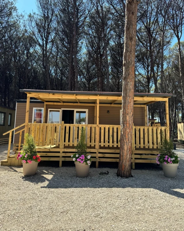 Vuoi approfittare dei ponti del 25 aprile e del 1º maggio? 

Goditi un anticipo dell'estate nel cuore del Cilento, a pochi passi dallo splendido parco archeologico di Paestum. 

Perché una vacanza nel Camping Marepieta significa avere:

✅ Tante soluzioni a tua disposizione: mobile house, glamping, bungalow
✅ Spiaggia privata
✅ Ristorante e bar per gustare le proposte locali.
✅ Animazione per grandi e piccini
✅ Parco giochi per bambini, così mamma e papà possono rilassarsi
✅ Tantissime altre sorprese per tutti i nostri ospiti

Potrai scegliere tra diverse soluzioni: Glamping, Mobile House, Bungalow. 

E a pochi minuti, un territorio ricco di storia e cose belle da vedere, con i templi di Paestum, i borghi affacciati sul mare come Agropoli e Castellabate, la costiera amalfitana, e le meraviglie del Parco del Cilento tutte da esplorare.

Ti aspettiamo a Paestum.

Chiamaci ora e prenota la tua vacanza!Vuoi approfittare dei ponti del 25 aprile e del 1º maggio? 

Goditi un anticipo dell'estate nel cuore del Cilento, a pochi passi dallo splendido parco archeologico di Paestum. 

Perché una vacanza nel Camping Marepieta significa avere:

✅ Tante soluzioni a tua disposizione: mobile house, glamping, bungalow
✅ Spiaggia privata
✅ Ristorante e bar per gustare le proposte locali.
✅ Animazione per grandi e piccini
✅ Parco giochi per bambini, così mamma e papà possono rilassarsi
✅ Tantissime altre sorprese per tutti i nostri ospiti

Potrai scegliere tra diverse soluzioni: Glamping, Mobile House, Bungalow. 

E a pochi minuti, un territorio ricco di storia e cose belle da vedere, con i templi di Paestum, i borghi affacciati sul mare come Agropoli e Castellabate, la costiera amalfitana, e le meraviglie del Parco del Cilento tutte da esplorare.

Ti aspettiamo a Paestum.
☎️ Per info e prenotazioni 0828 811086

#Cilento #Ponte25aprile #Ponte1Maggio