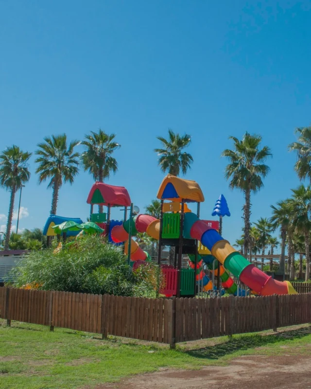 Sei nel Cilento con tutta la famiglia, sei felice e lo sai. 

Perché hai scelto un camping immerso nel verde, con la spiaggia di Paestum a tua disposizione. 

Il momento perfetto per scoprirlo? Il mese di giugno. 

Perché una vacanza nel Camping Marepieta significa avere:

✅ Spiaggia privata con ombrellone per giornate di relax sotto il sole.
✅ Ristorante e bar per gustare le proposte locali.
✅ Animazione per grandi e piccini
✅ Parco giochi per bambini, così mamma e papà possono rilassarsi
✅ Tantissime altre sorprese per tutti i nostri ospiti

E a pochi minuti, un territorio ricco di storia, con i templi di Paestum, i borghi affacciati sul mare come Agropoli e Castellabate e le meraviglie del Parco del Cilento tutte da esplorare.

Ti aspettiamo a Paestum.

🟢 Contattaci subito allo 0828 811086 per tutte info o visita il nostro sito in bio per scoprire le migliori offerte a te dedicate.

#Cilento #Camping